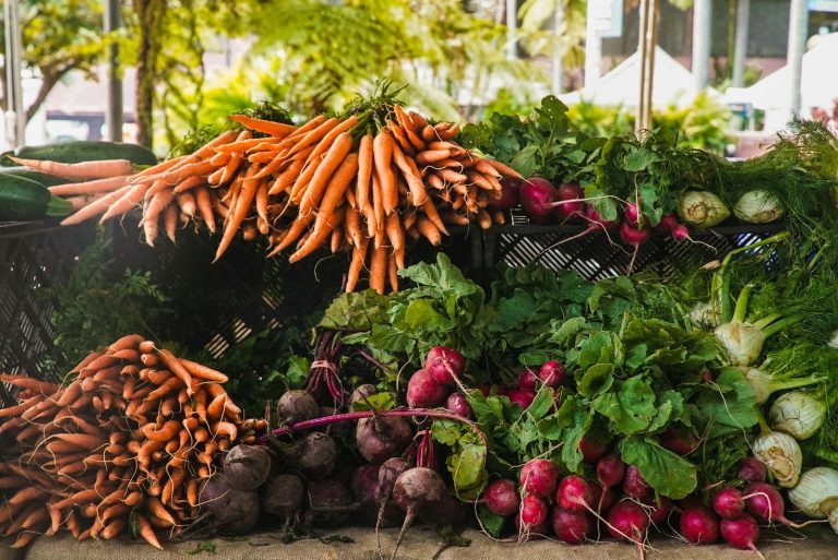O que plantar em cada época: ajuste a horta ao seu clima