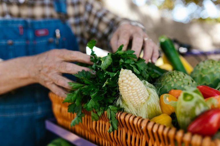 Hortas temáticas: escolha um projeto que tenha utilidade