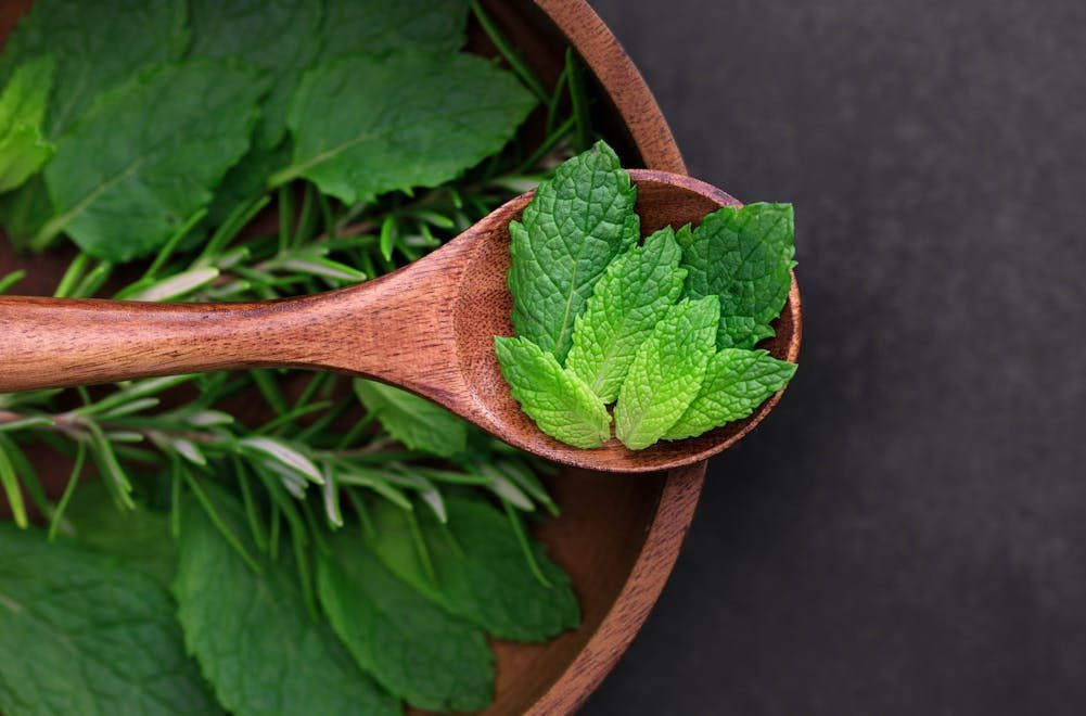 Close-up of fresh mint leaves in a wooden spoon surrounded by herbs. Ideal for culinary and organic themes.