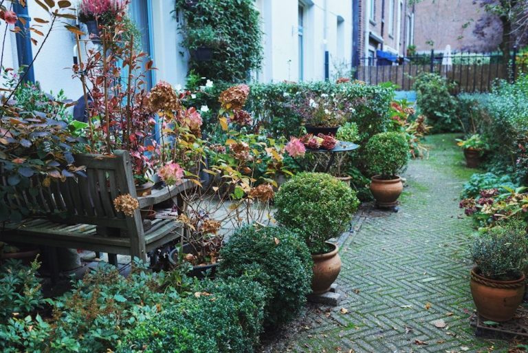 A lush garden path with potted plants and bench.