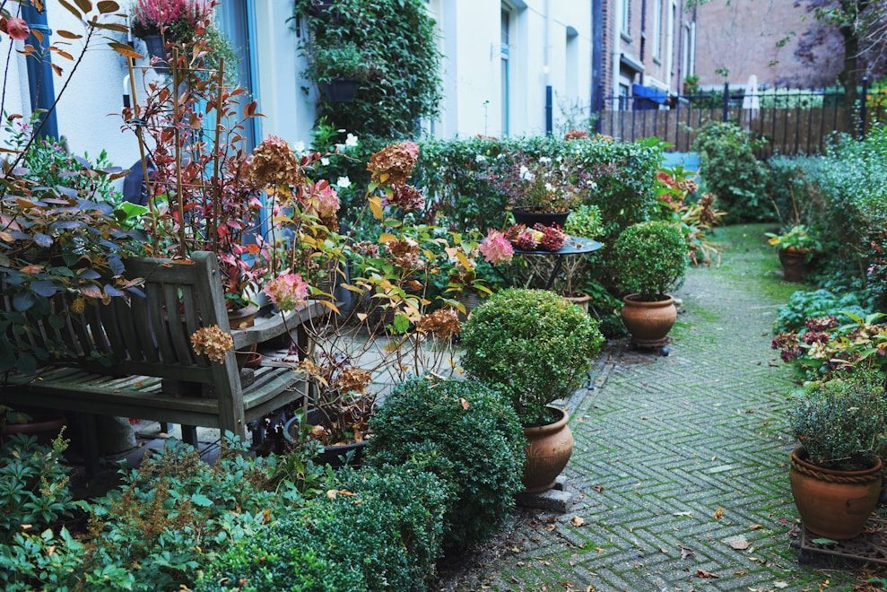 A lush garden path with potted plants and bench.
