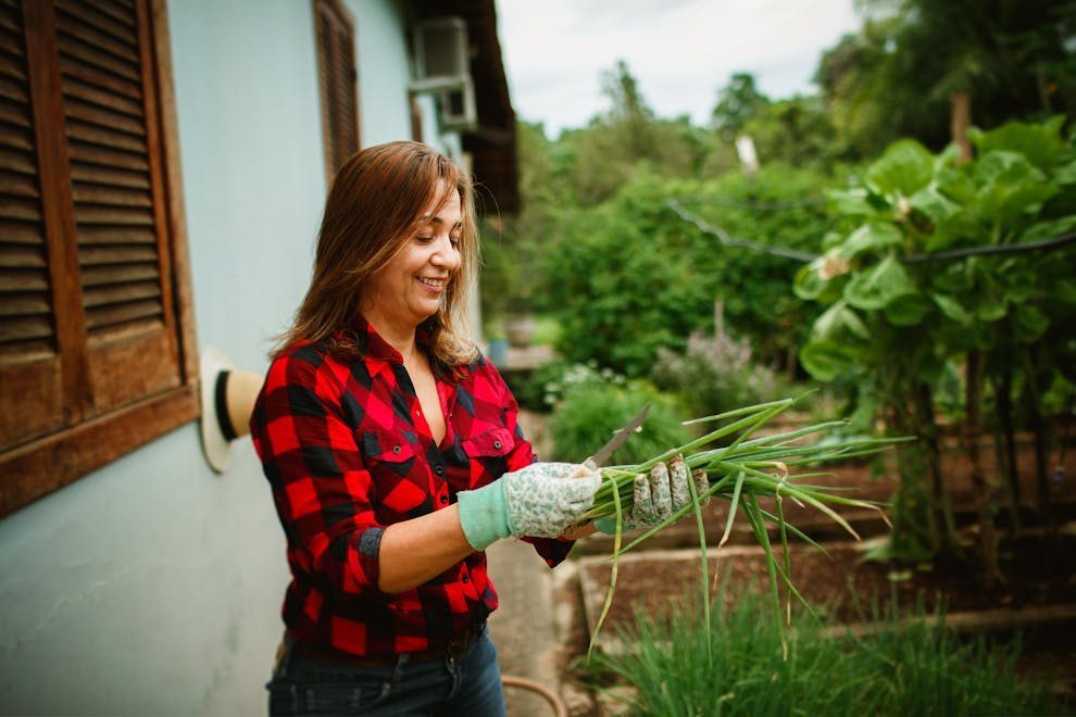 Woman enjoying gardening by harvesting greenery outdoors on a sunny day.