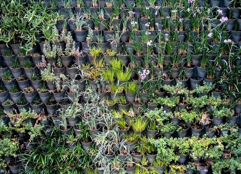 A vibrant vertical garden showcasing diverse plant species in black pots, depicting modern horticulture.