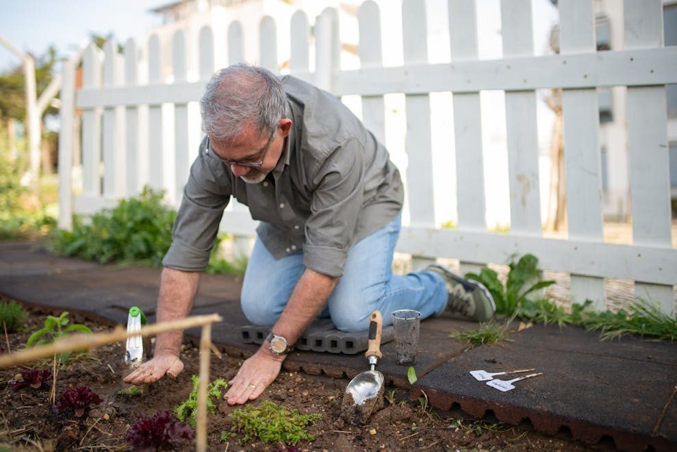 Elderly man gardening in a sunny backyard, surrounded by plants and tools.