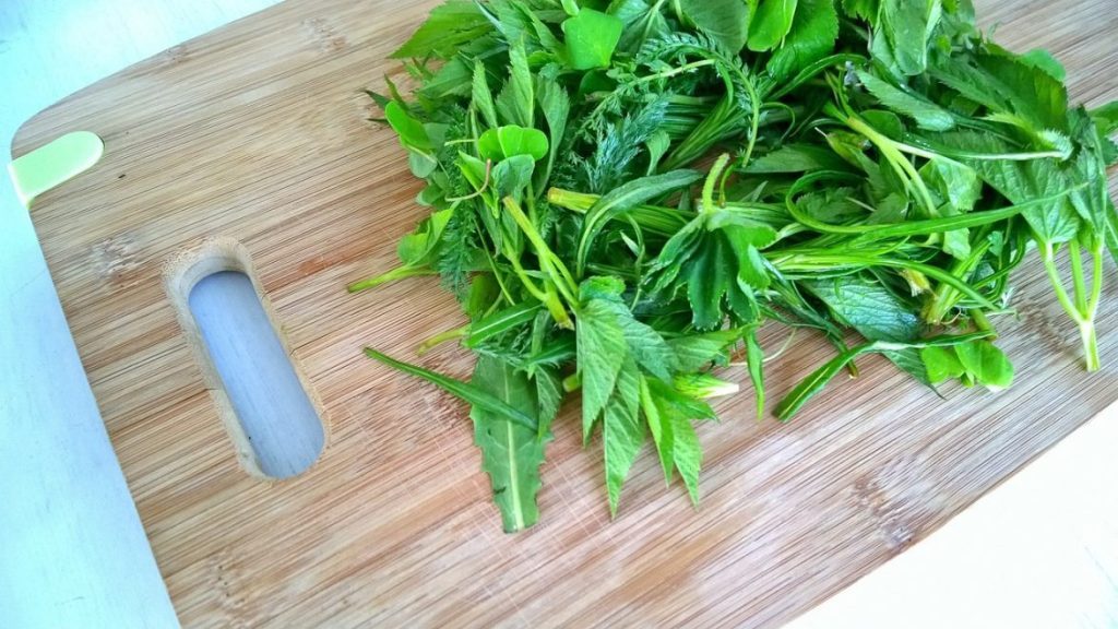 greens, horta, organic, nature, cooking, salad, horta, horta, cooking, cooking, salad, salad, salad, salad, salad